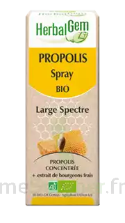 Herbalgem Propolis Large Spectre Solution Buvable Bio Spray/15ml à MONTPELLIER